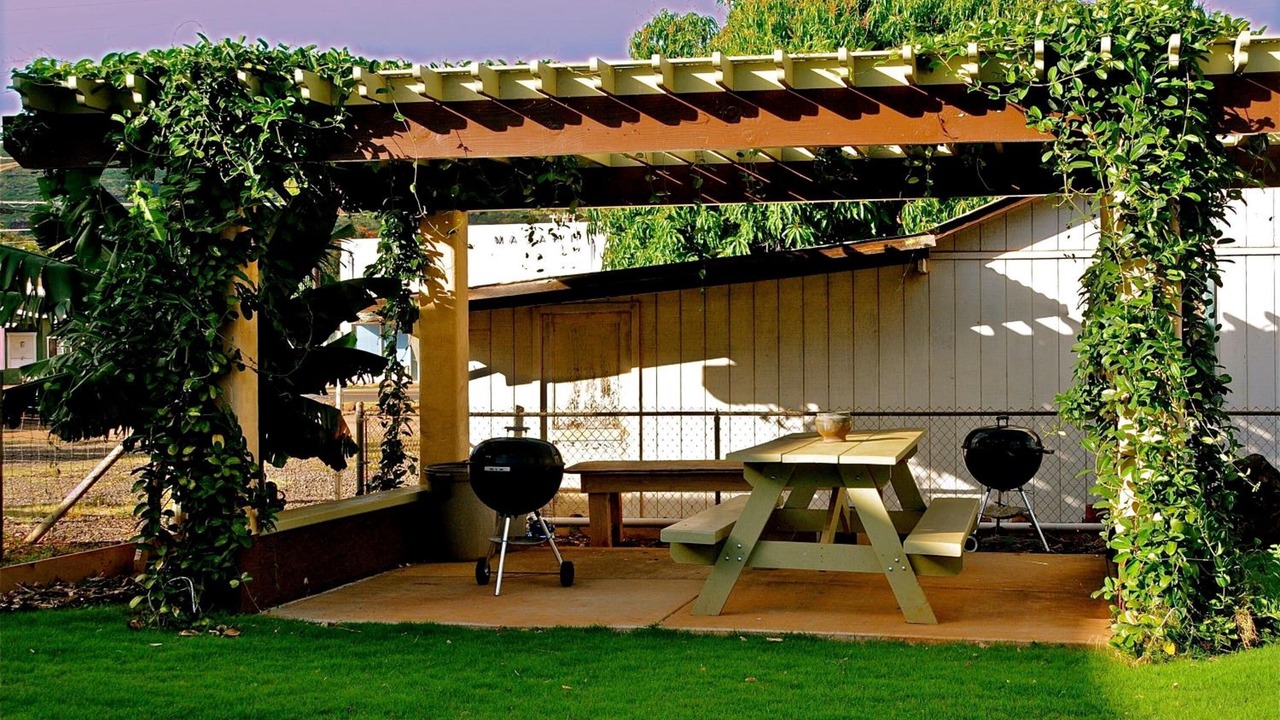 Photo of Outdoor in Waimea