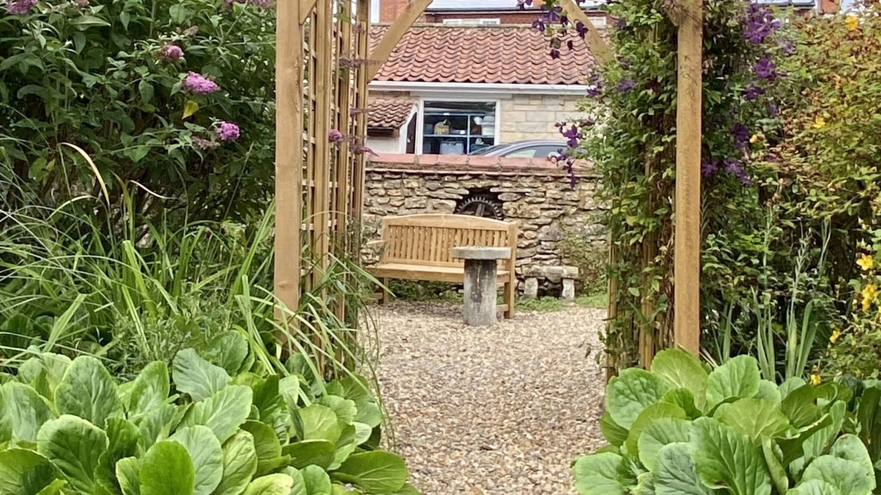 Photo of Outdoor in Nawton