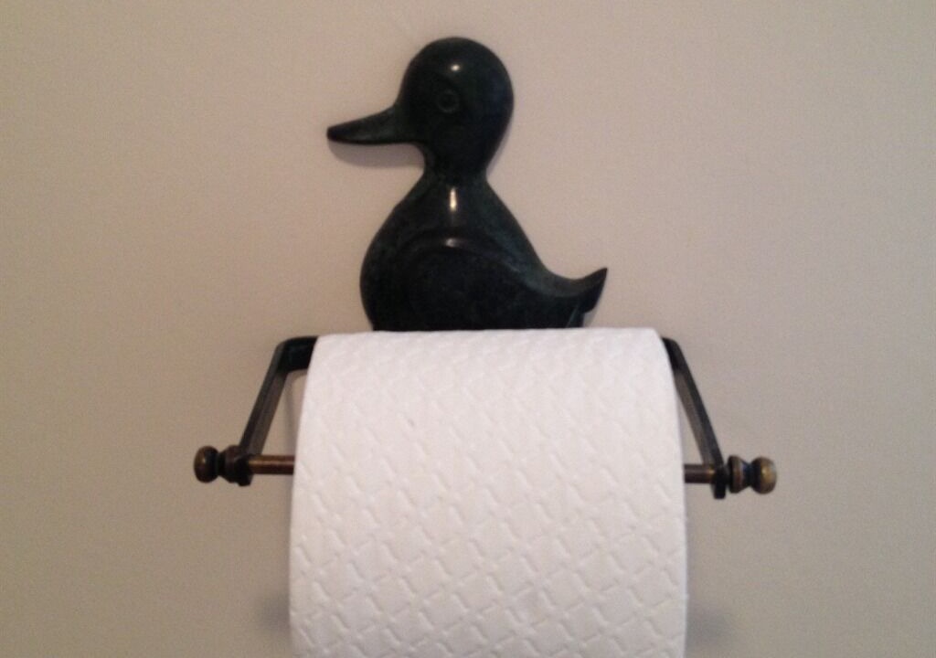 Photo of Bathroom in Nawton