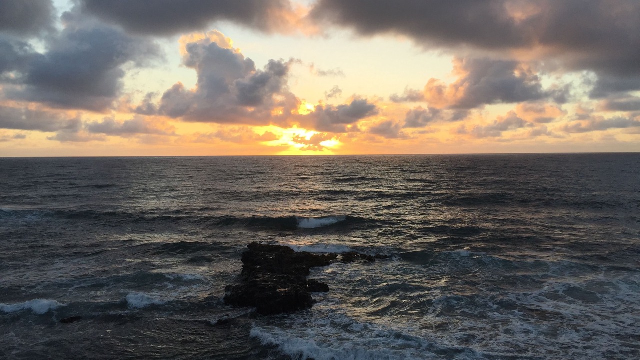 Photo of Others in Kapaa