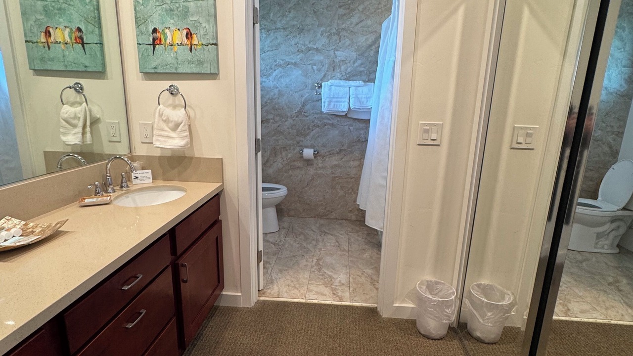 Photo of Bathroom in Kapaa