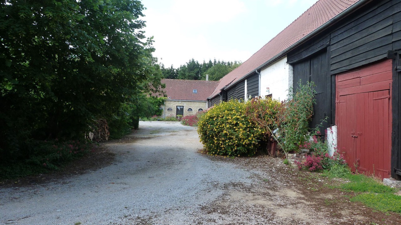 Photo of Outdoor in Saint-Tricat