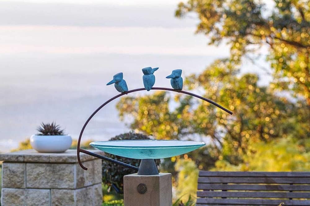 Photo of Outdoor in Ferny Creek