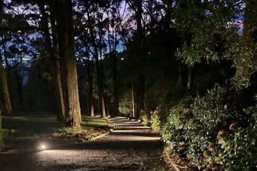 Photo of Outdoor in Ferny Creek