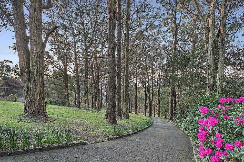 Photo of Outdoor in Ferny Creek