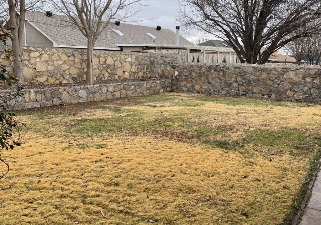 Photo of Outdoor in Alamogordo