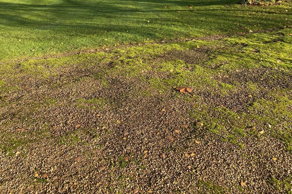 Photo of Others in Great Hallingbury