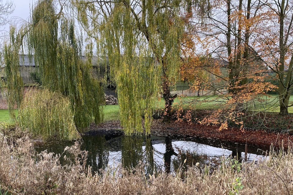 Photo of Outdoor in Great Hallingbury