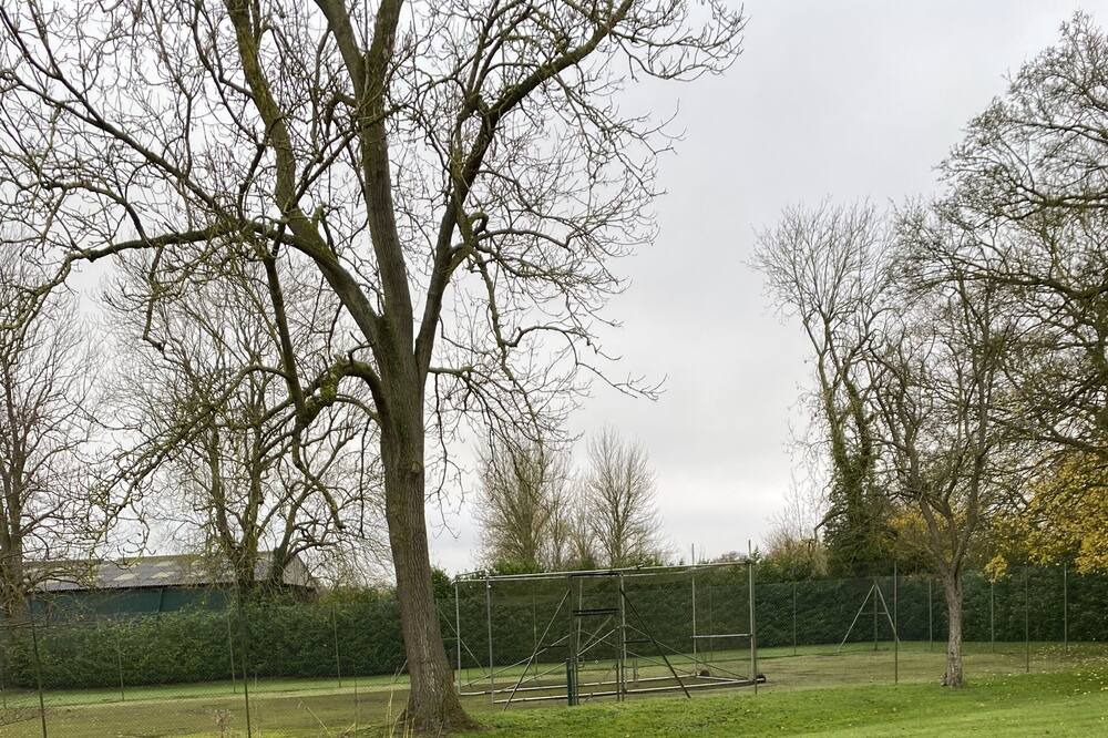 Photo of Others in Great Hallingbury