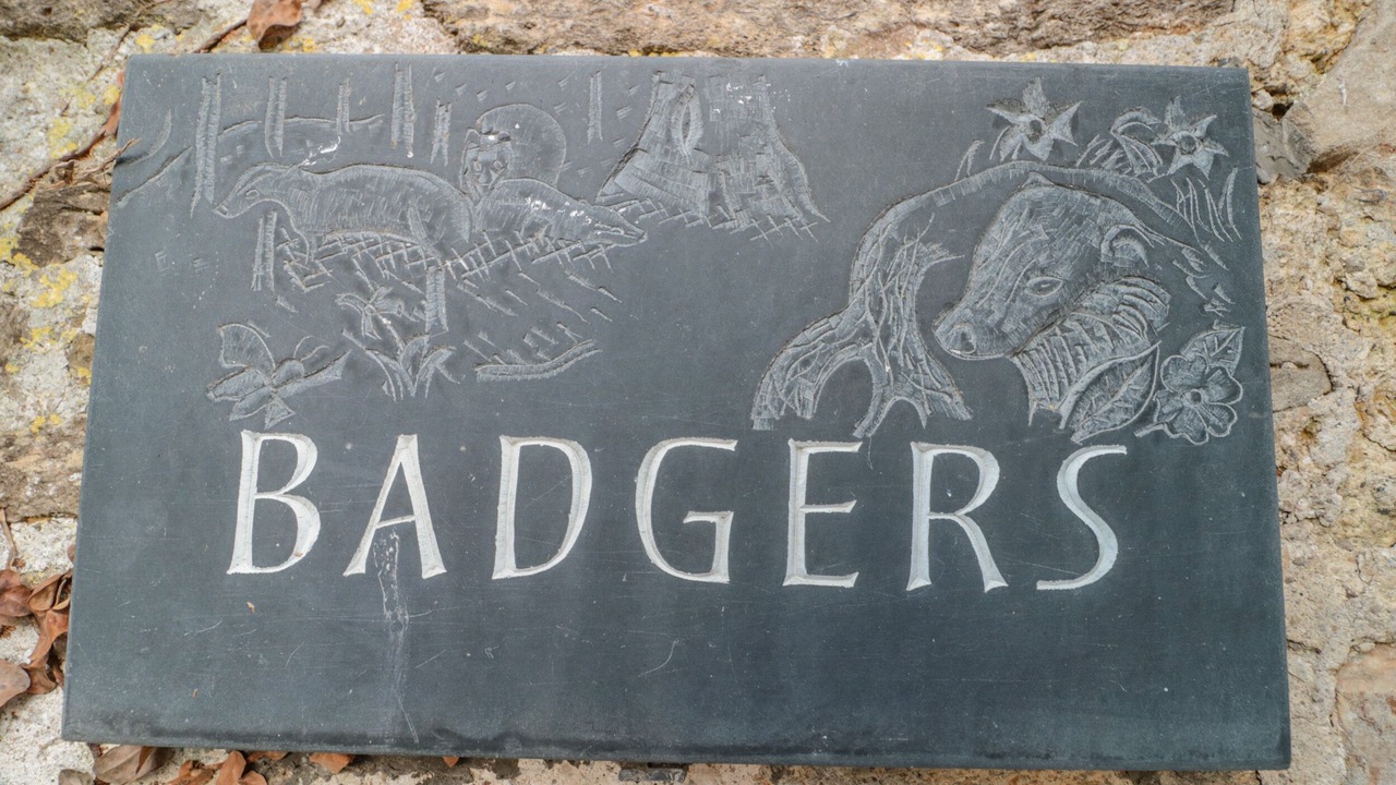 Photo of Others in Littlebredy