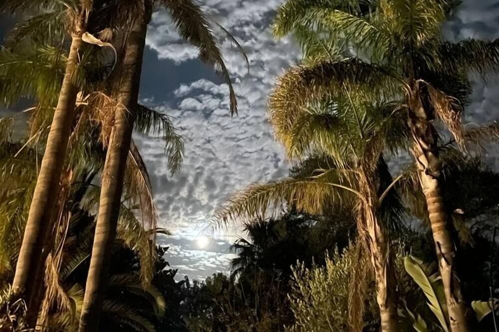 Photo of Others in Tootgarook