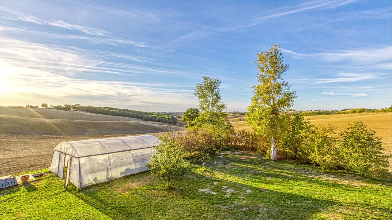 Photo of Outdoor in Rabastens