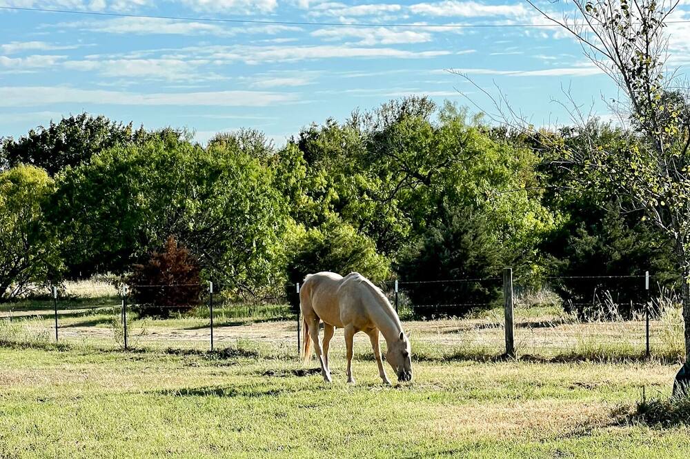 Photo of Outdoor in Dale