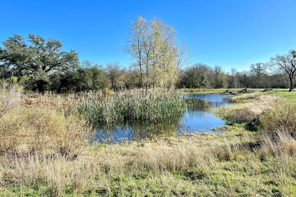 Photo of Outdoor in Dale