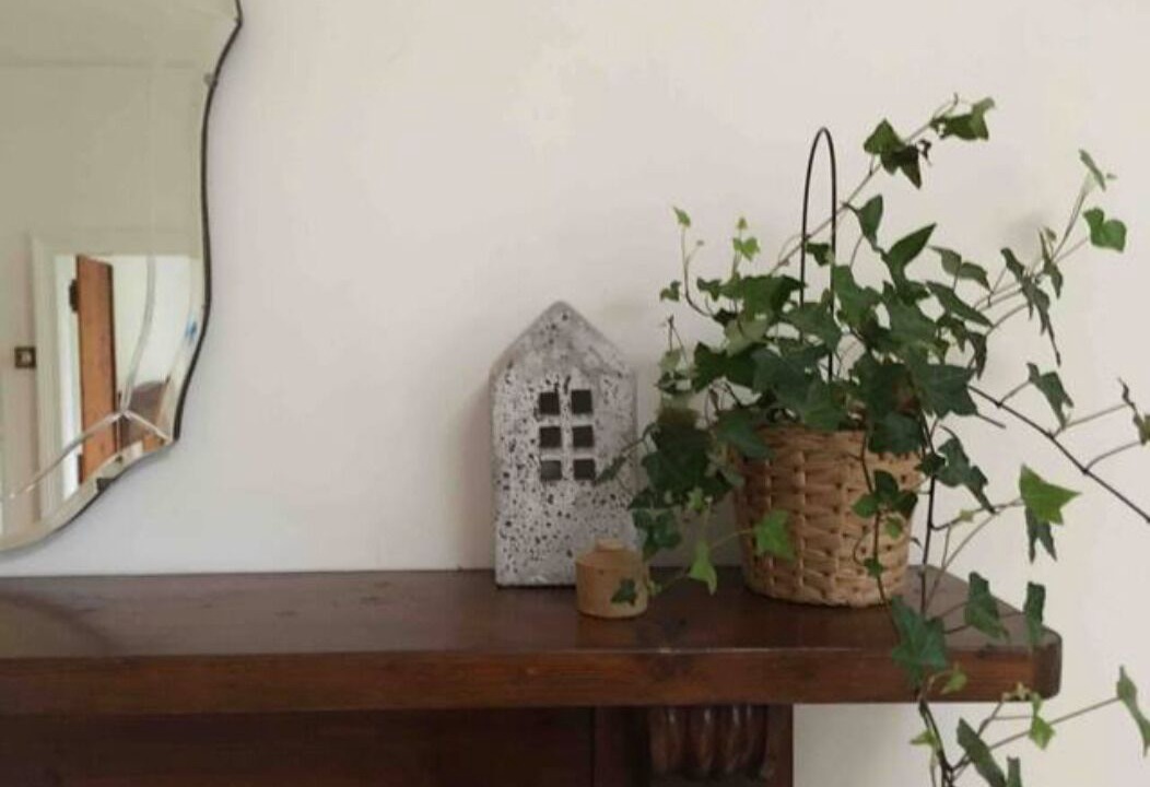 Photo of Others in Talunga