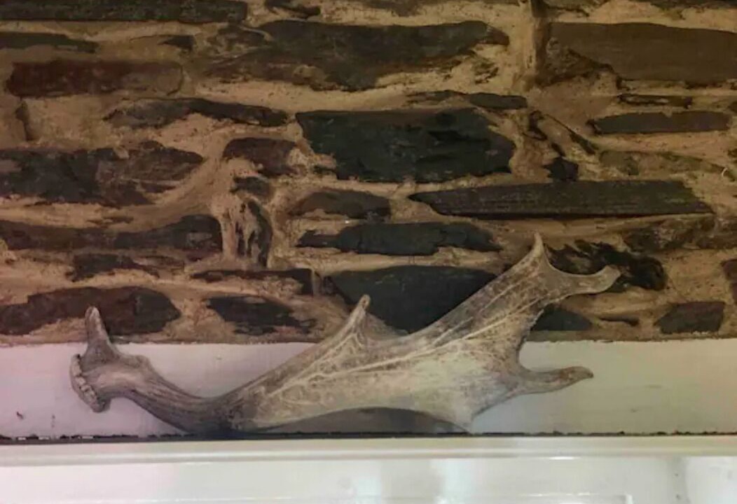 Photo of Others in Talunga