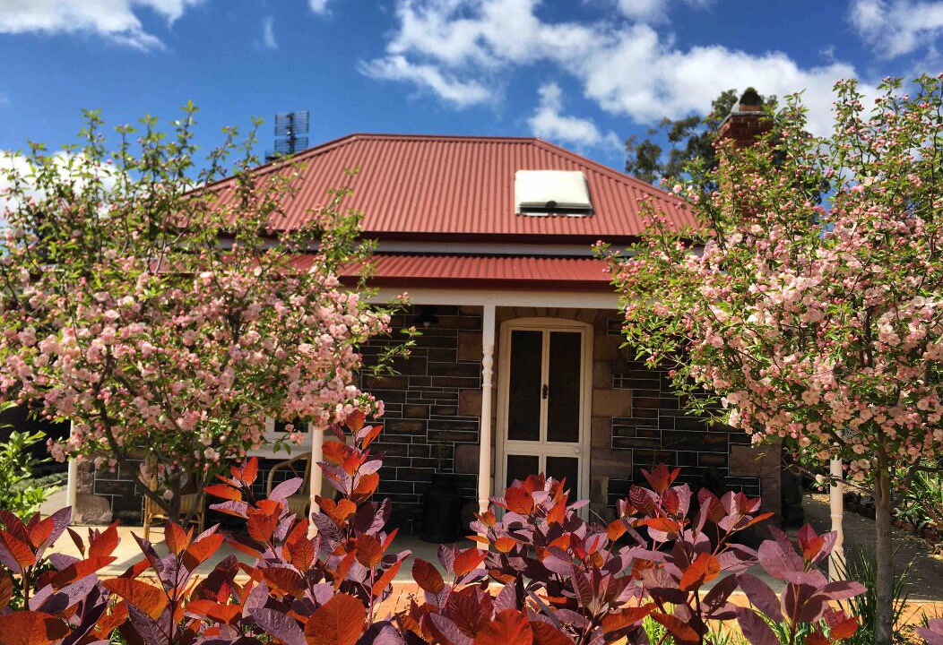 Photo of Others in Talunga