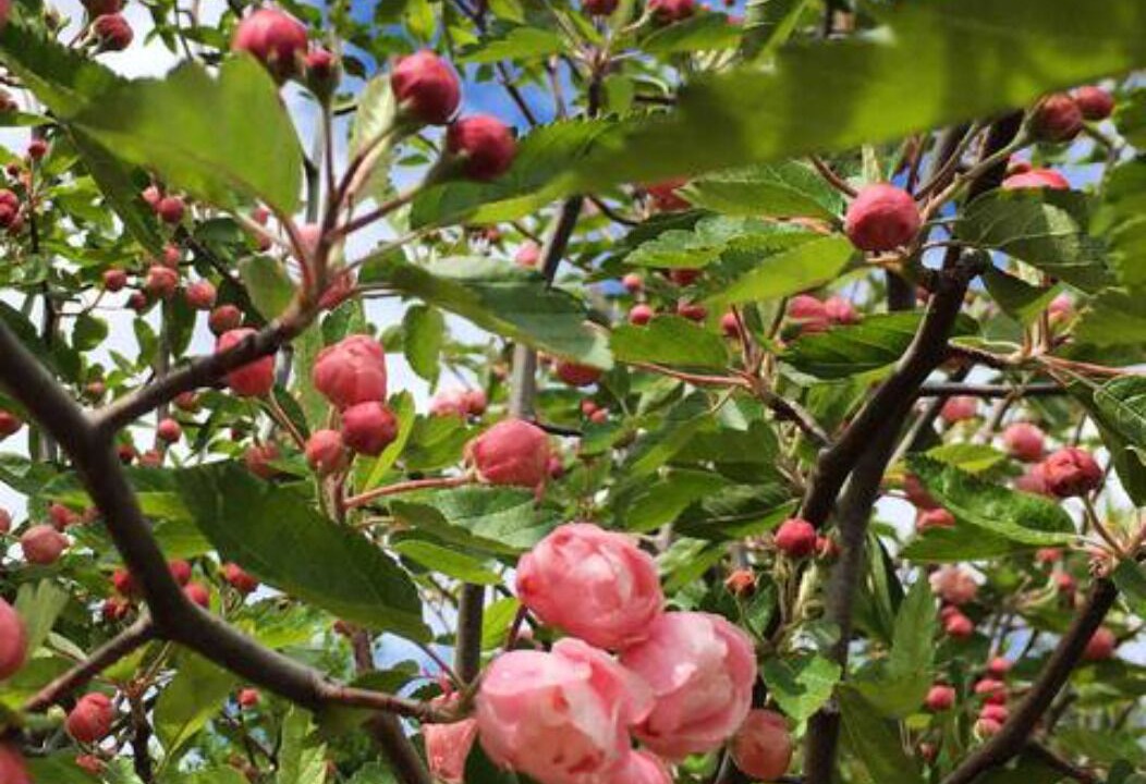 Photo of Outdoor in Talunga