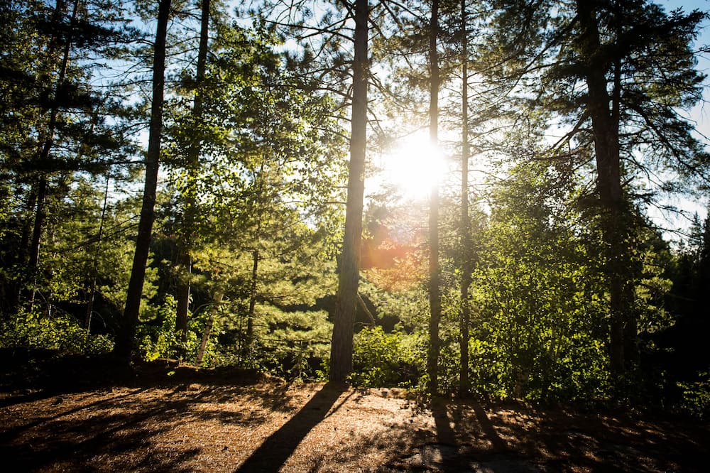 Photo of Outdoor in Fort Coulonge