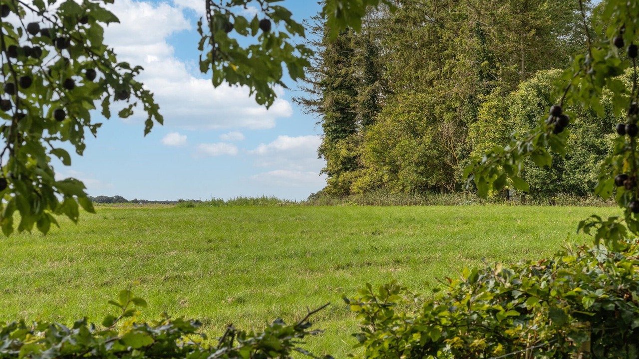 Photo of Others in Utterslev