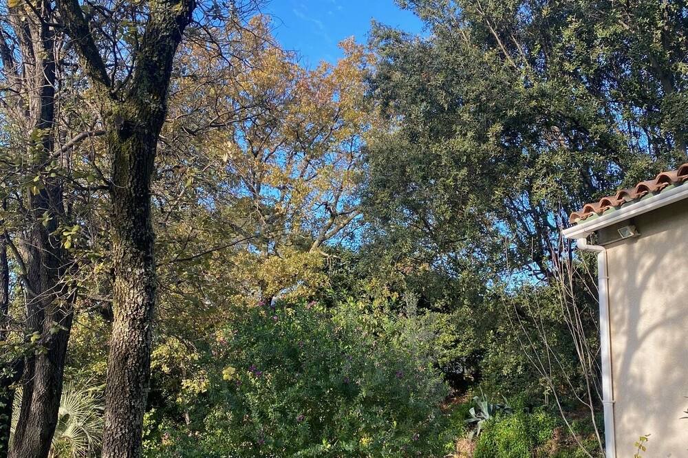 Photo of Outdoor in Aubais