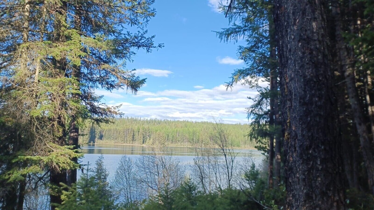 Photo of Outdoor in Olney