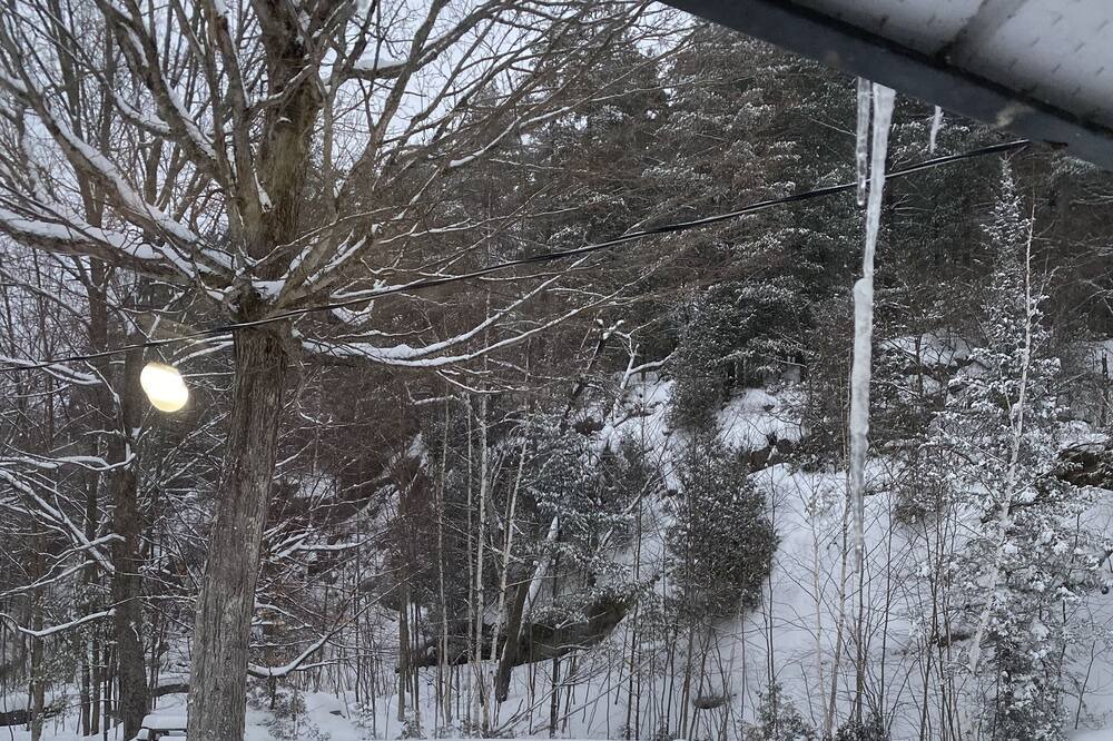 Photo of Outdoor in Algonquin Highlands