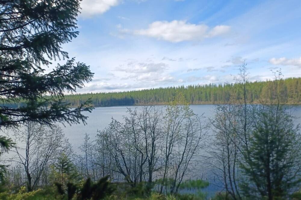 Photo of Others in Olney