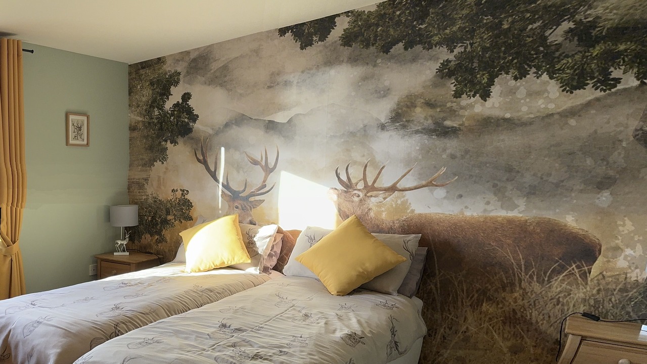 Photo of Others in Bornesketaig