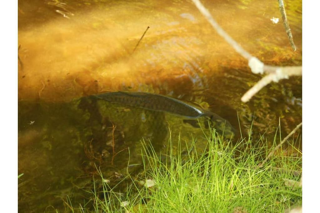 Photo of Others in Uzemain