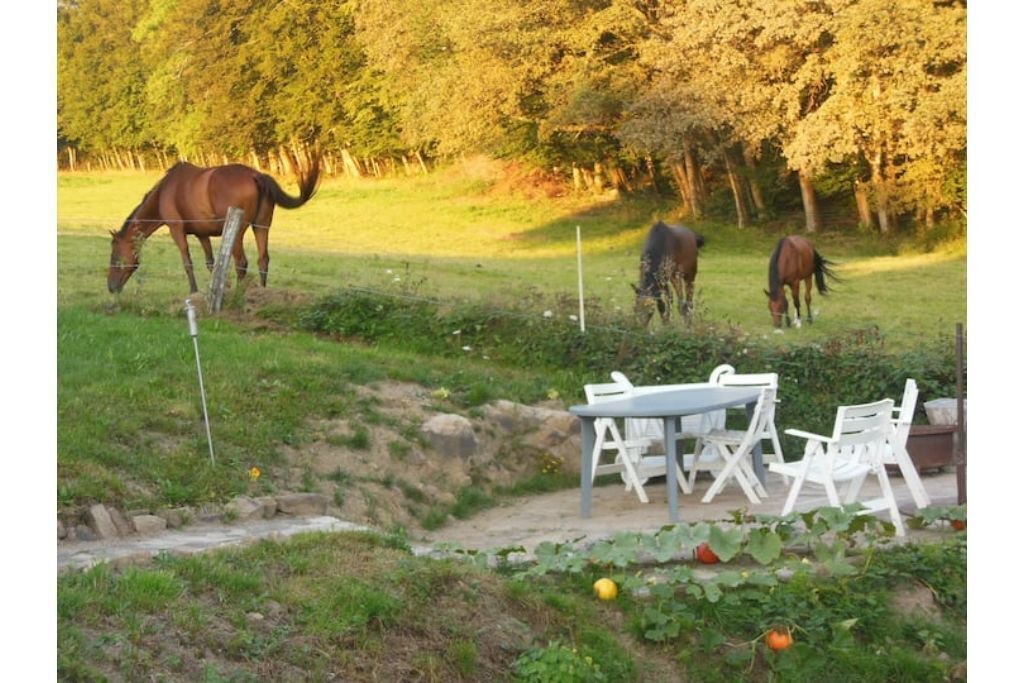 Photo of Outdoor in Uzemain