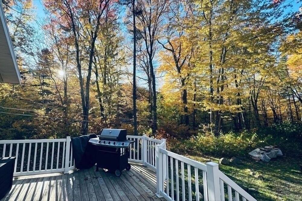 Photo of Outdoor in Saint-Raymond