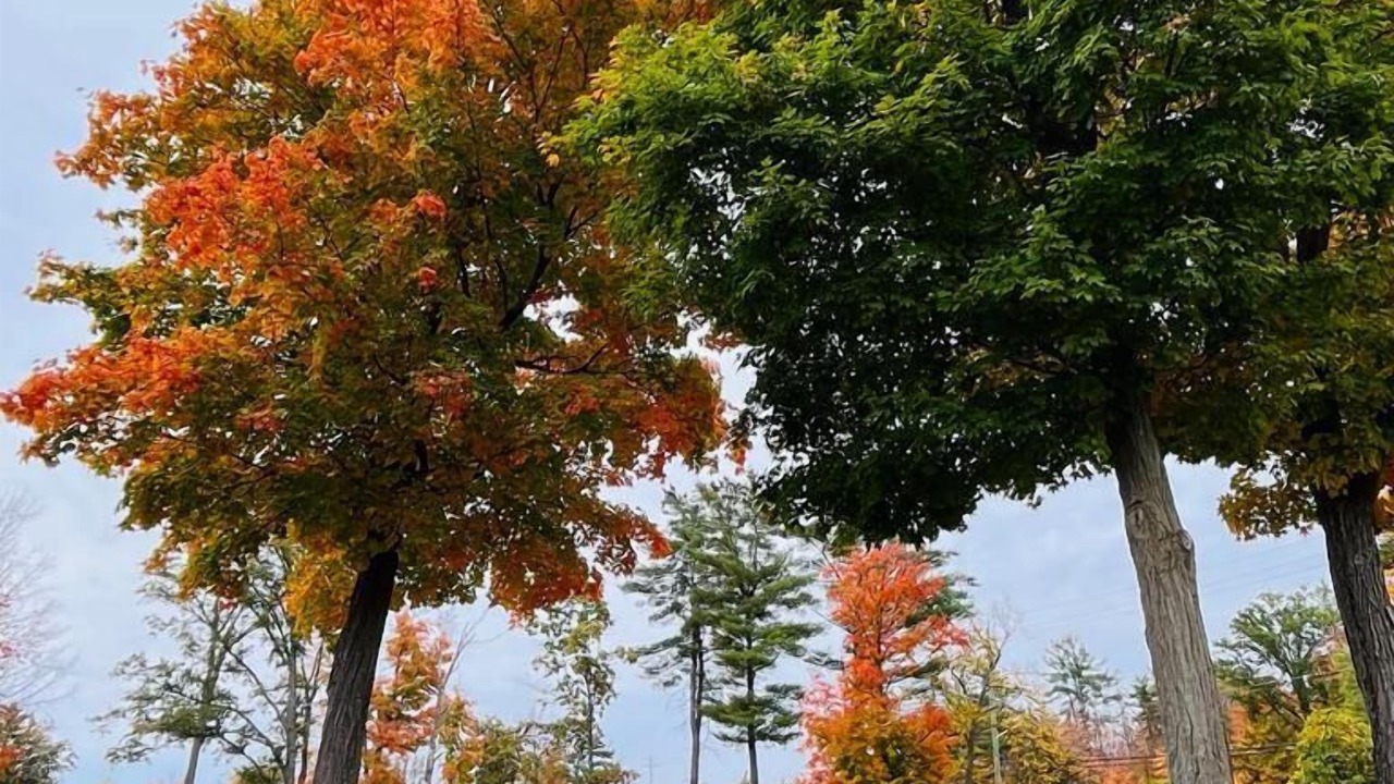 Photo of Outdoor in Calabogie