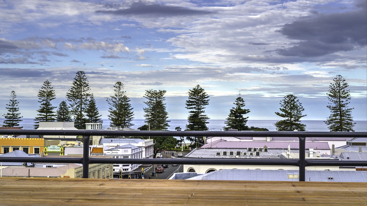 Photo of Others in Napier