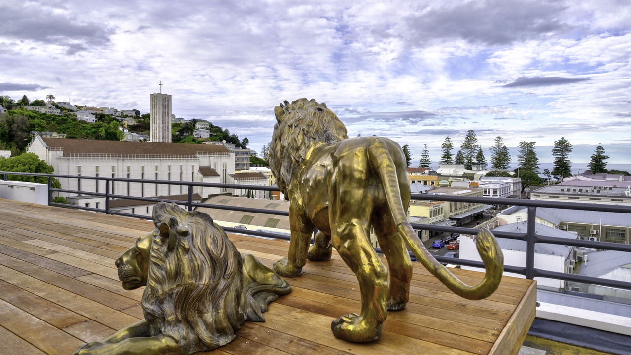 Photo of Outdoor in Napier