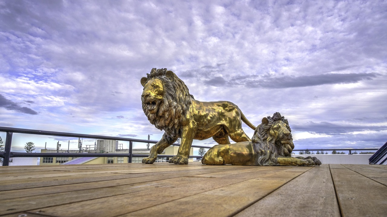 Photo of Outdoor in Napier