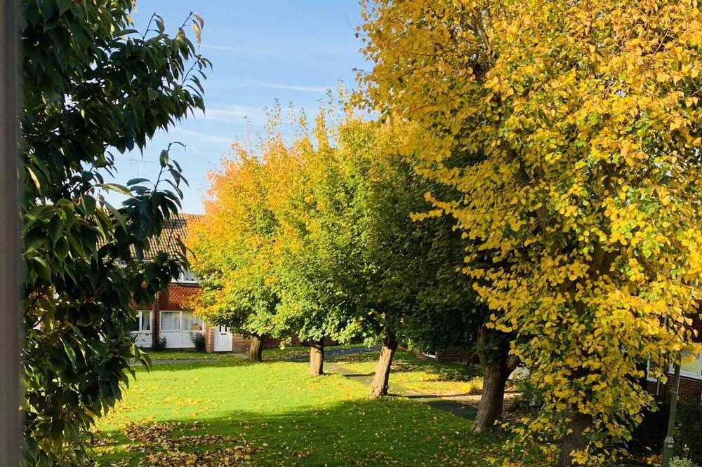 Photo of Others in Farnham