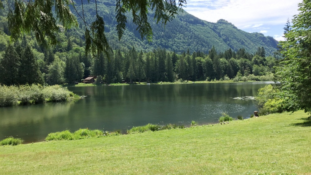 Photo of Outdoor in Maple Falls