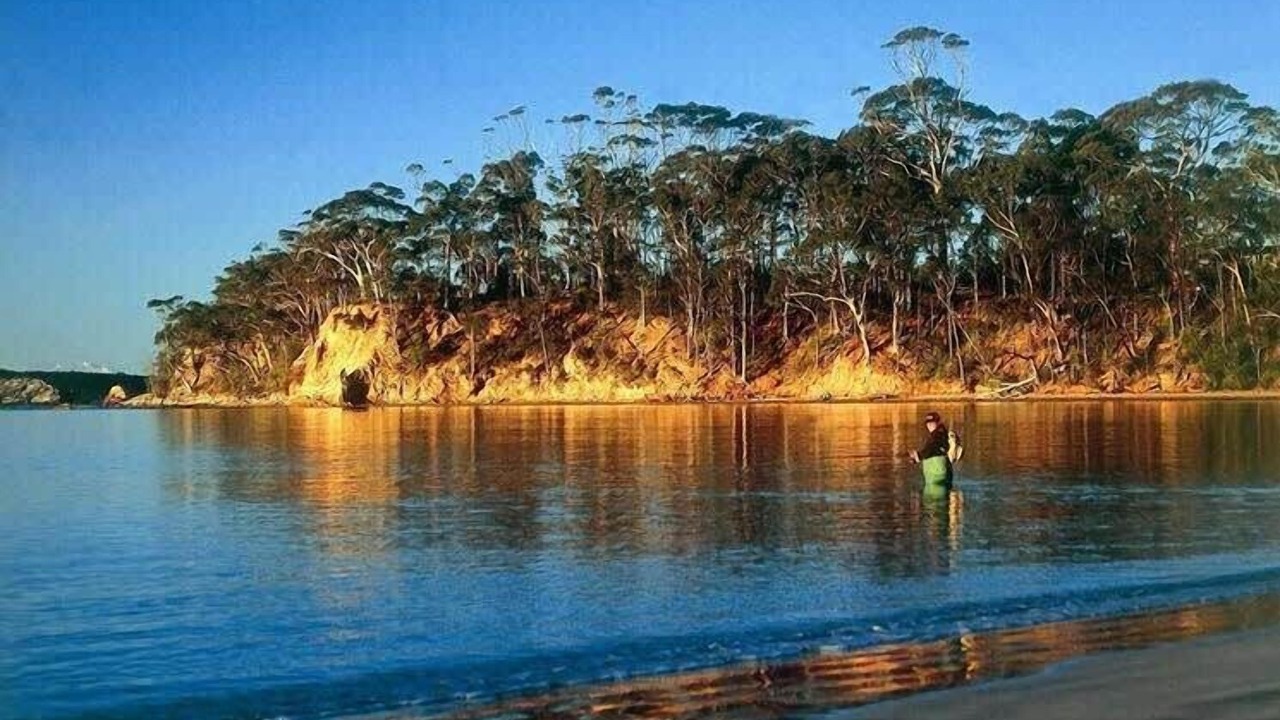 Photo of Others in Batehaven