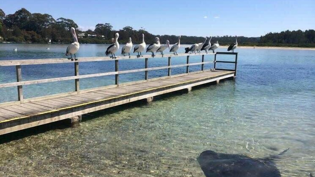 Photo of Others in Broulee