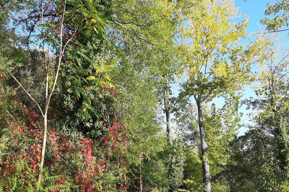 Photo of Outdoor in Cales