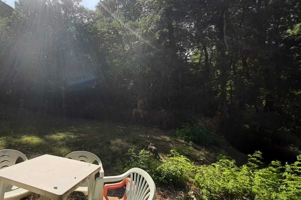 Photo of Others in Lissac-sur-Couze