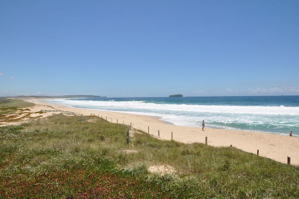 Photo of Others in Buff Point