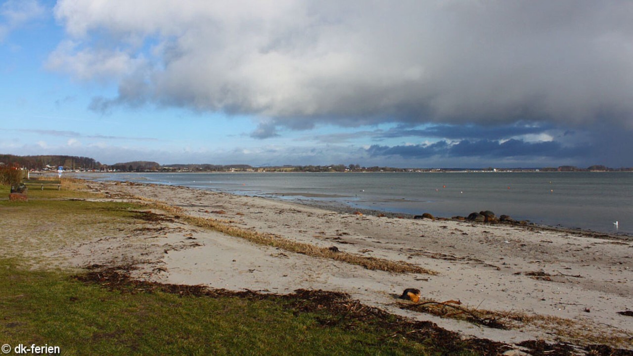 Photo of Others in Sonder Stenderup