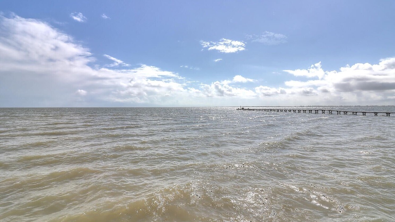 Photo of Others in Bayside