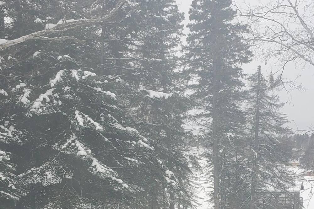 Photo of Others in West Hawk Lake