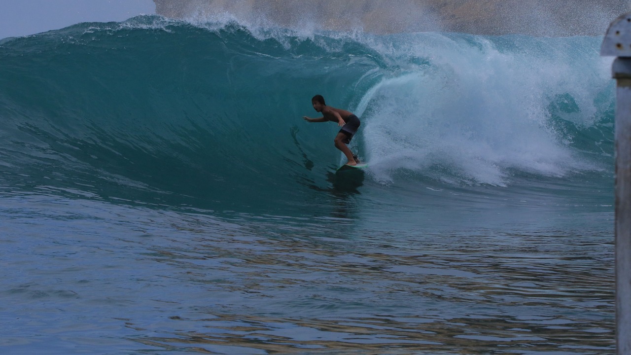 Photo of Others in Selong Belanak
