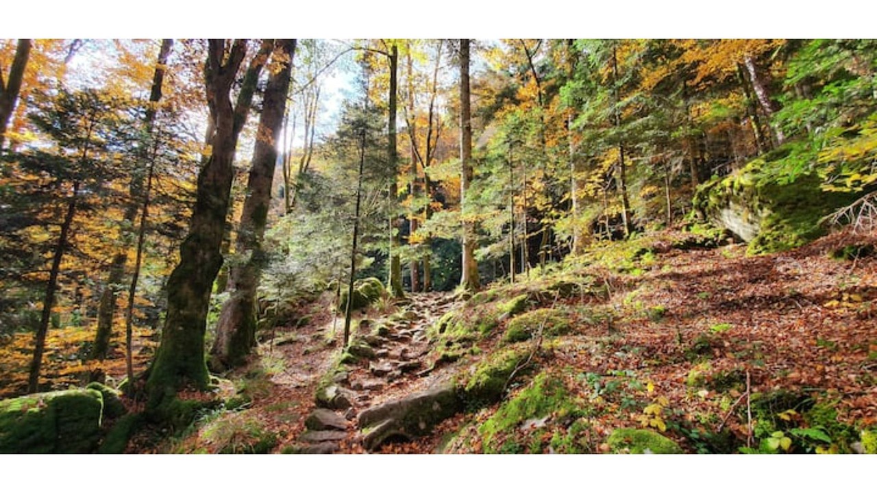 Photo of Outdoor in Mesnil Sous Les Cotes