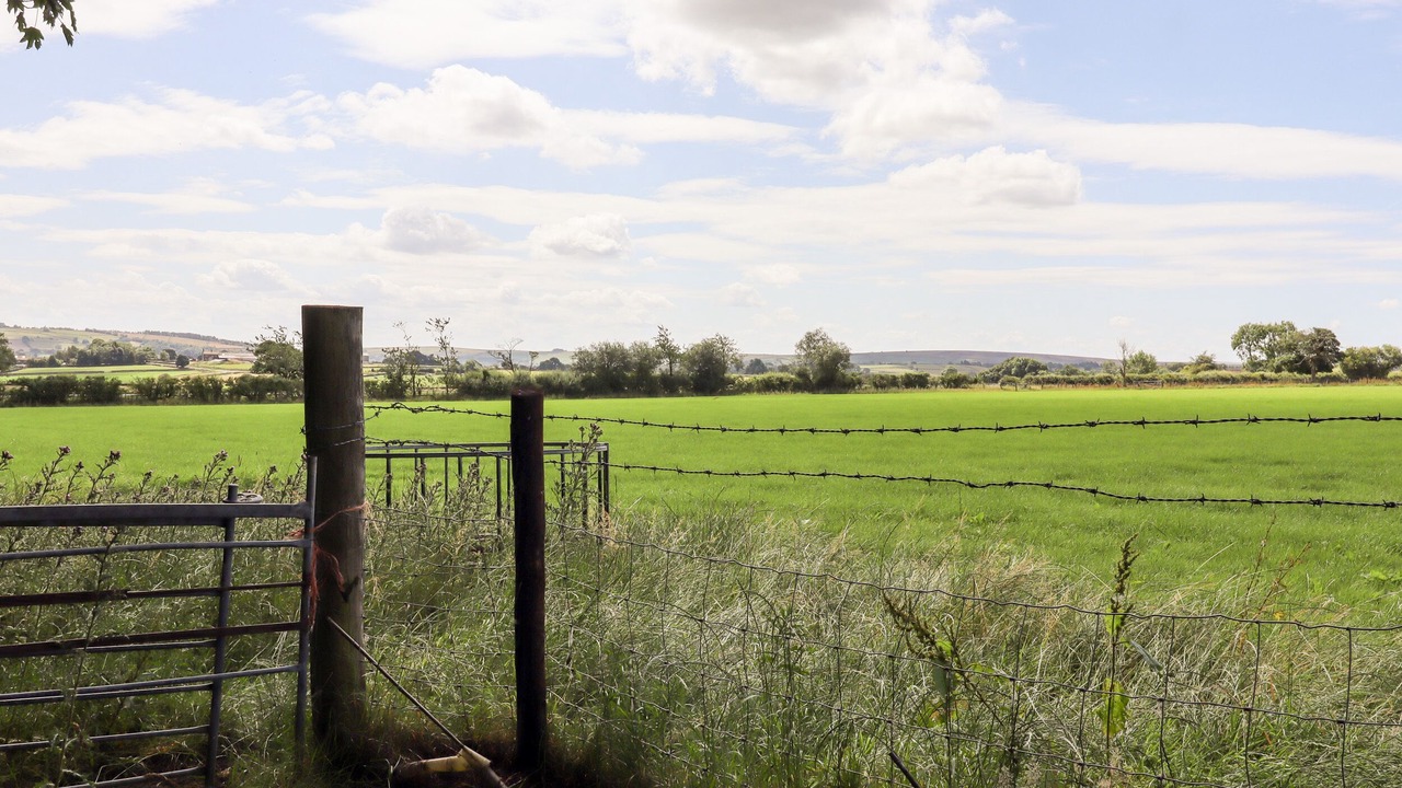 Photo of Others in Ripley