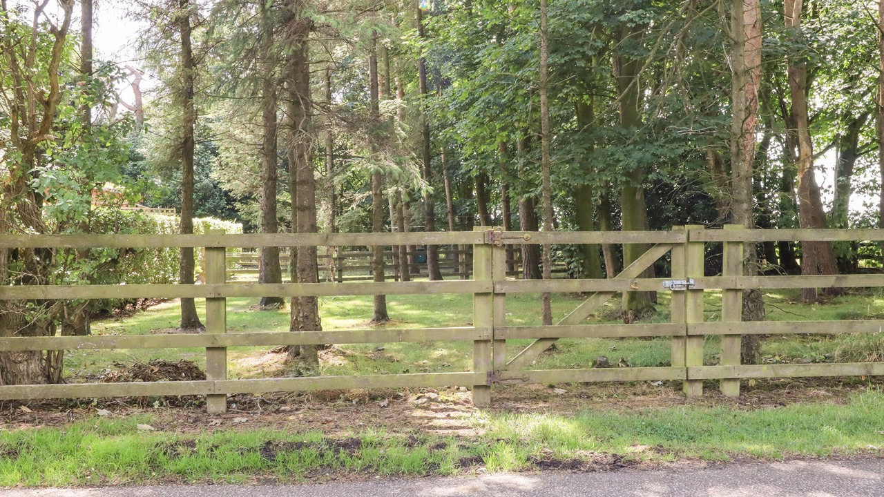 Photo of Others in Ripley